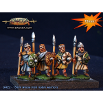 Baueda Irish Noble warriors (8 figures)