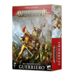 Warhammer Age of Sigmar Set Introduttivo Guerriero