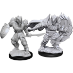 D&D Miniature - Dragonborn Fighter Male