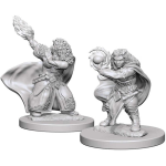 D&D Miniature - Dwarf Wizard Female