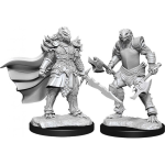 D&D Miniature - Dragonborn Fighter Female