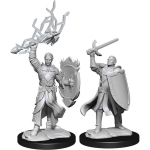 D&D Miniature - Half Elf Paladin Male