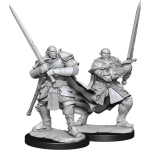D&D Miniature - Half Orc Paladin Male