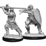 D&D Miniature - Human Paladin 4 Male