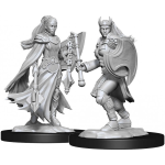 D&D Miniature - Kakashtar Cleric Female