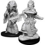 D&D Miniature - Night Hag & Dusk Hag