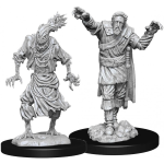 D&D Miniature - Scarecrow & Stone Cursed