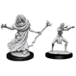 D&D Miniature - Sea Hag & Bheur Hag