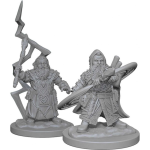Pathfinder Battles - Dwarf Sorceror Male
