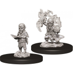 Pathfinder Battles - Gnome Sorcerer Male