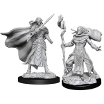 D&D Miniature - Elf Fighter & Elf Cleric