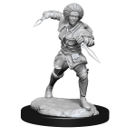 D&D Miniature - Kaya