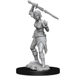 D&D Miniature - Nahiri