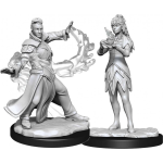 D&D Miniature - Killian & Dina