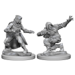 Pathfinder Battles - Human Male Rogue