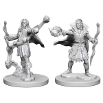 Pathfinder Battles - Elf Sorcerer Male