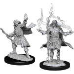 Pathfinder Battles - Elf Sorcerer Male 2