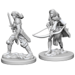 Pathfinder Battles - Human Fighter Female