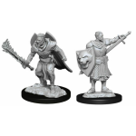 Pathfinder Battles - Human Champion Male