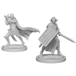 Pathfinder Battles - Elf Paladin Male