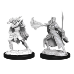 D&D Miniature - Winter Eladrin & Spring Eladrin
