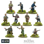 Bolt Action British LDV Section