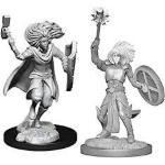 D&D Miniature - Changeling Cleric