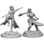 D&D Miniature - Human Monk Female