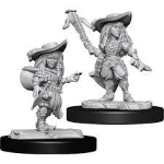 Pathfinder Battles - Gnome Bard Female
