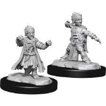 Pathfinder Battles - Halfling Monk Male