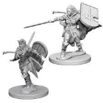 Pathfinder Battles - Human Paladin Female
