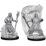 D&D Miniature - Water Genasi Druid Male