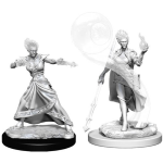 D&D Miniature - Fire Genasi Wizard Female