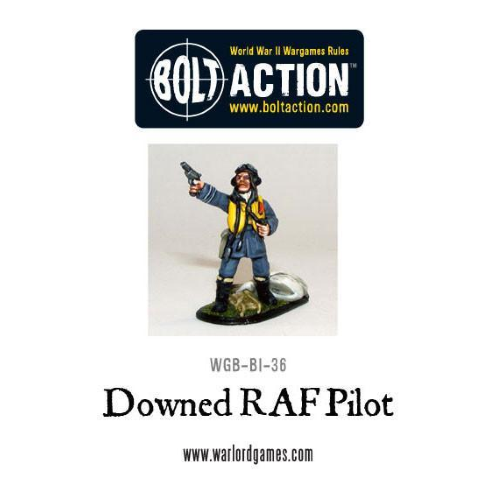 Bolt Action Downed RAF Pilot