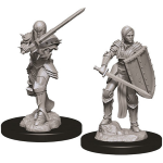 D&D Miniature - Human Fighter Female