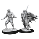 Pathfinder Battles - Elf Rogue Male