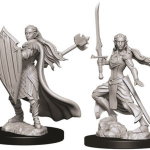 D&D Miniature - Elf Paladin Female