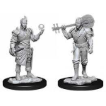 D&D Miniature - Half-Elf Bard Male