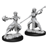 D&D Miniature - Half Elf Monk Female