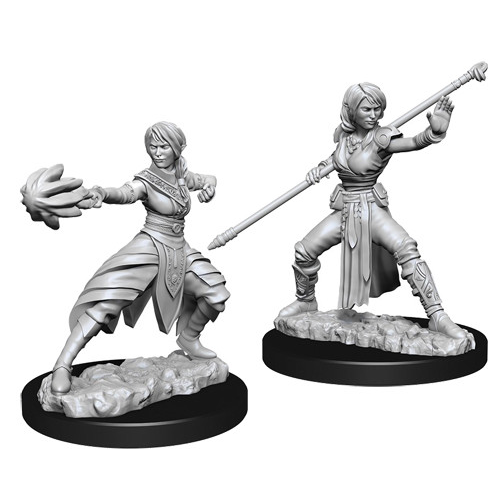 Tempus Fugit Shop  WIZ73839 - D&D Miniature - Half Elf Monk