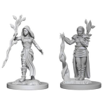 D&D Miniature - Human Druid Female