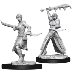 D&D Miniature - Human Rogue Female