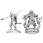 D&D Miniature - Human Druid Male
