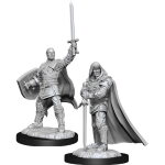 D&D Miniature - Human Paladin 3 Male