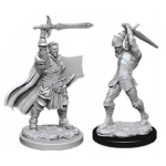 D&D Miniature - Human Paladin 2 Male