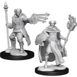 D&D Miniature - Multiclass Cleric + Wizard Male