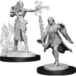 D&D Miniature - Multiclass Warlock + Sorcerer Female