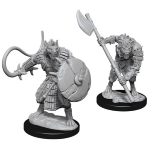Pathfinder Battles - Gnolls
