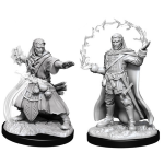 D&D Miniature - Human Wizard 2 Male