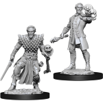 D&D Miniature - Human Warlock Male